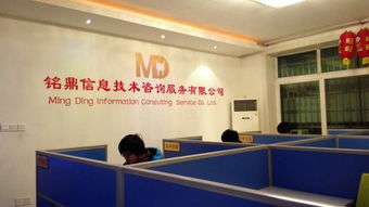 資陽(yáng)銘鼎信息技術(shù)咨詢服務(wù) 賦能企業(yè)數(shù)字化轉(zhuǎn)型的專業(yè)伙伴